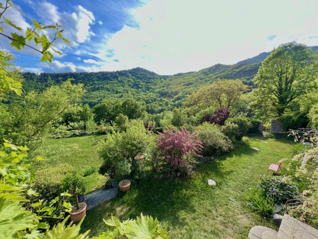 Jardin fleuri du domaine ouvert sur les montagnes cévenoles