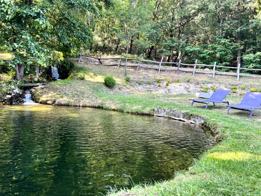 Plan d'eau bordé de verdure dans le parc du domaine