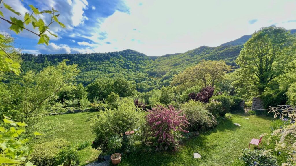 Vue sur les montagnes boisées des Cévennes depuis le domaine
